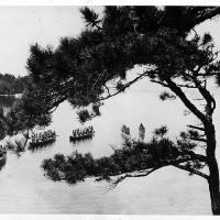 Fair Amazons in their War Canoes