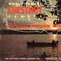 Chestnut 1964 Thumbnail