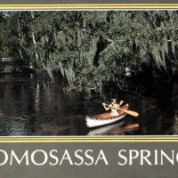 Homosassa Springs